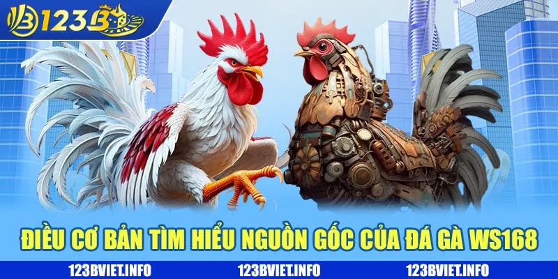 Đá gà WS168 là gì? Khám phá điều thú vị và nhận thưởng khủng 1 Điều cơ bản tìm hiểu nguồn gốc của đá gà WS168