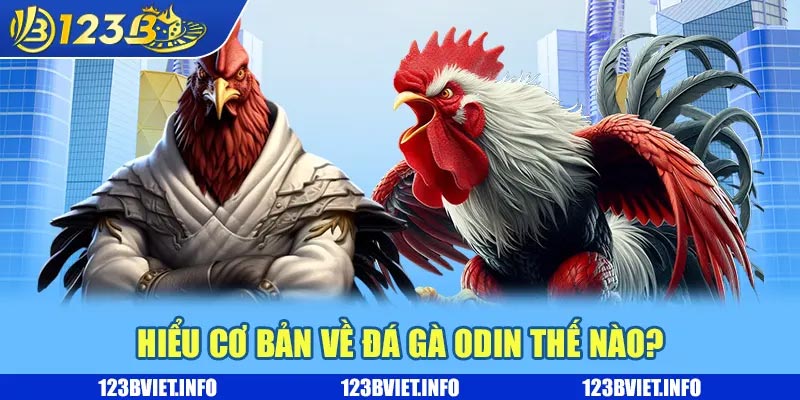 Đá gà Odin – Siêu phẩm giải trí kịch tính và nhận thưởng khủng 1 Hiểu cơ bản về đá gà Odin thế nào?