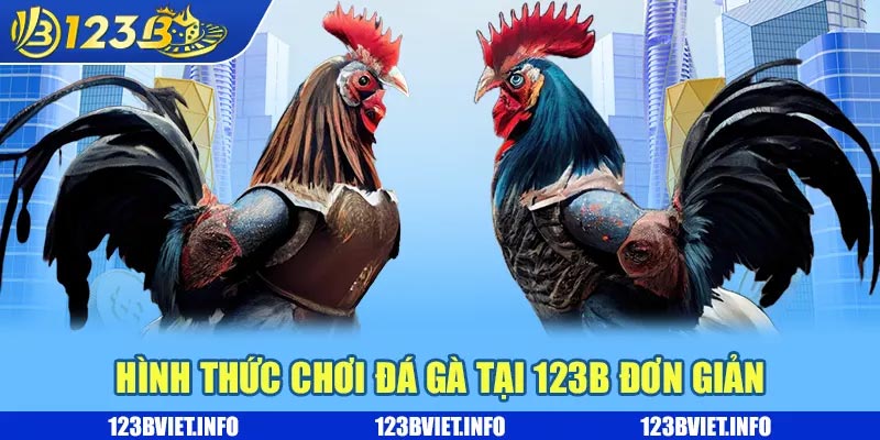 Đá gà Odin – Siêu phẩm giải trí kịch tính và nhận thưởng khủng 3 Hình thức chơi đá gà tại 123B đơn giản