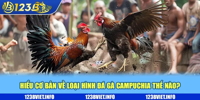 Đá gà Campuchia – Chiến thuật thu tiền khủng từ cao thủ 2 Những giá độc đáo trong siêu phẩm đá gà