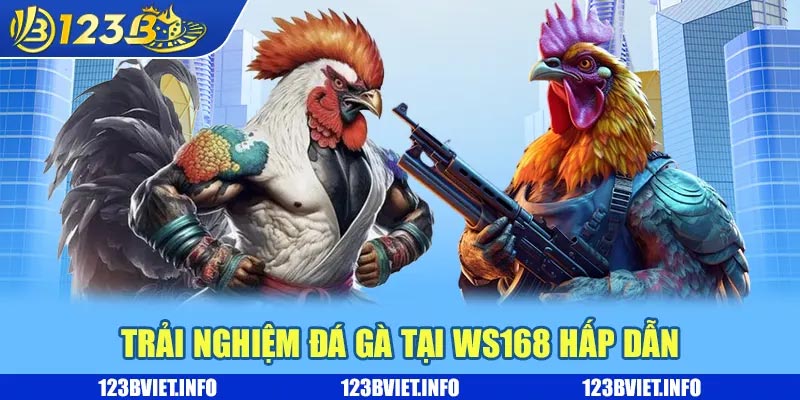 Đá gà WS168 là gì? Khám phá điều thú vị và nhận thưởng khủng 2 Trải nghiệm đá gà tại WS168 hấp dẫn